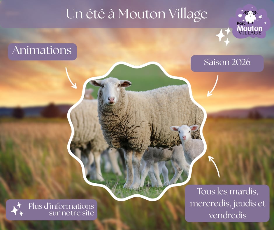 Animations de l'été à Mouton Village