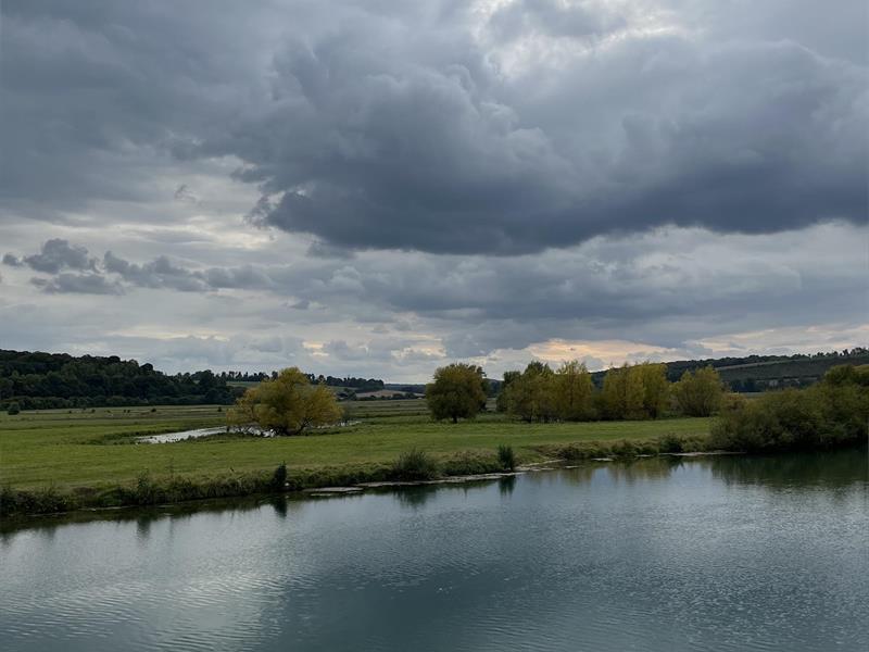 Sortie nature : la noue, havre pour la vie sauvage