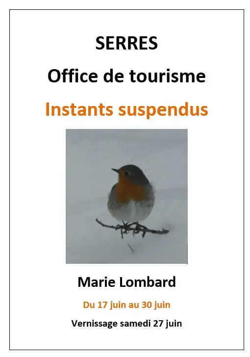 Exposition : "Instants suspendus" par Marie Lombard