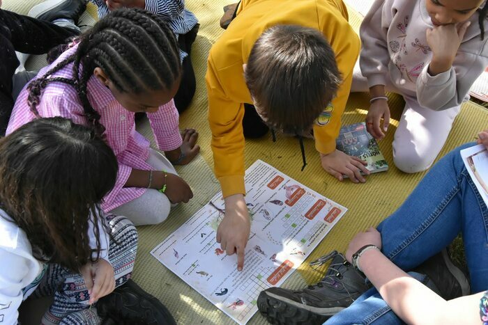 A la recherche de l'animal blessé