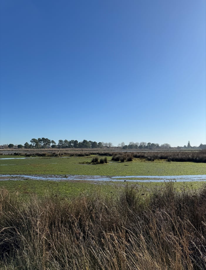 Prés Salés Ouest, découverte faune et flore