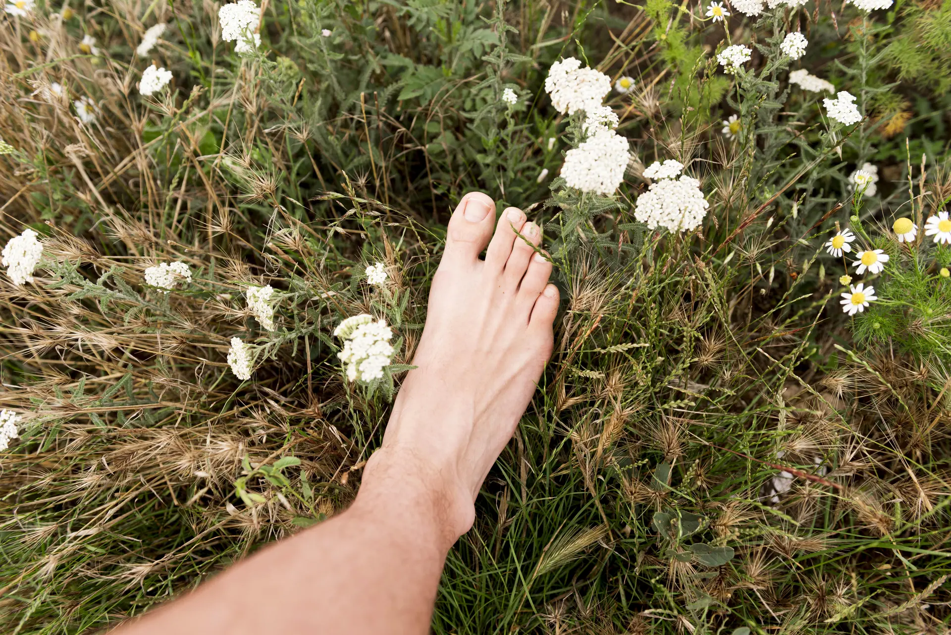 Balades nature & bien-être : "Pieds nus !"