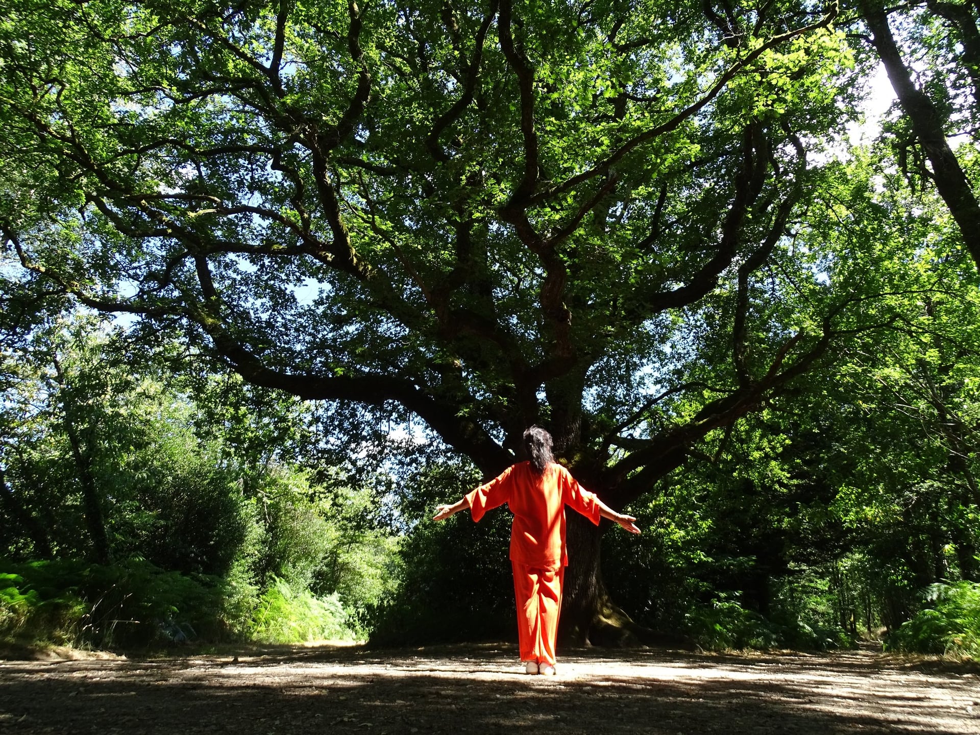 Stage de Qi Gong