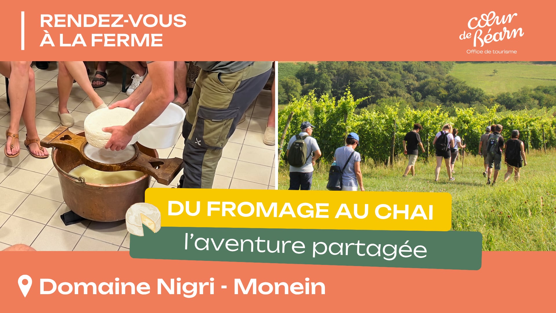 Rendez-vous à la ferme : Du fromage au chai