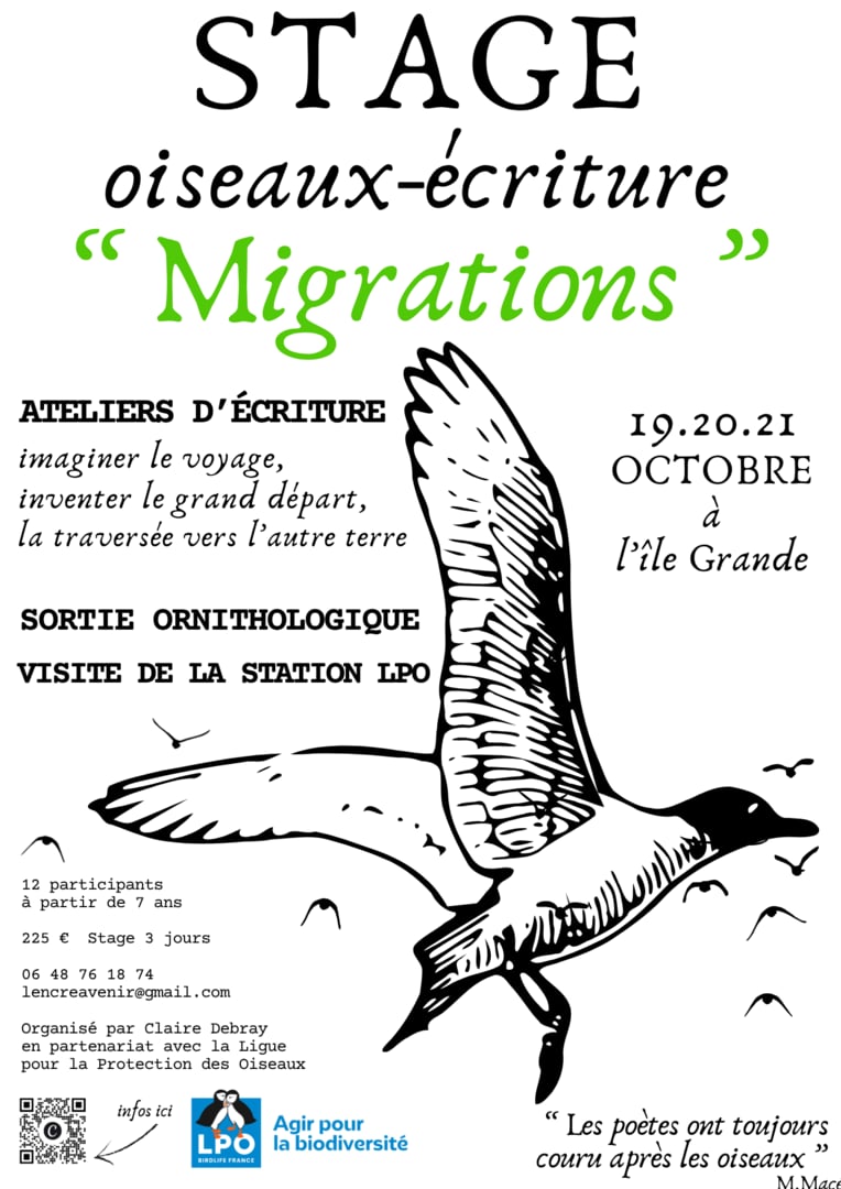 Migrations – Stage Ecriture-oiseaux