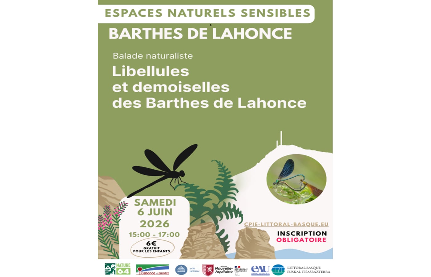 Sortie nature : Libellules et demoiselles des barthes