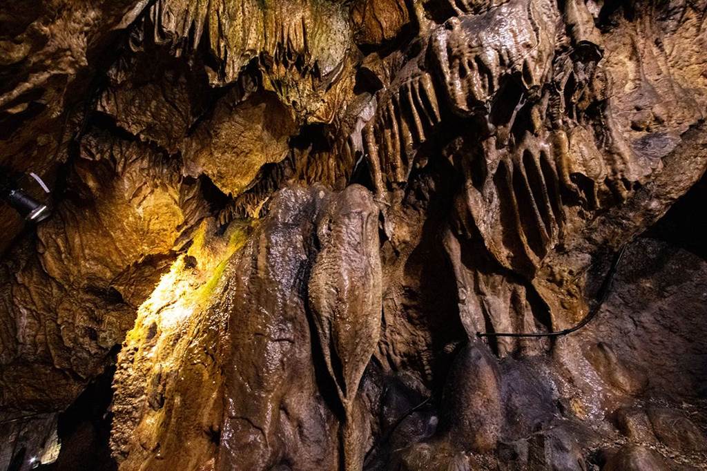 Grotte de Nichet : Visite en Musique