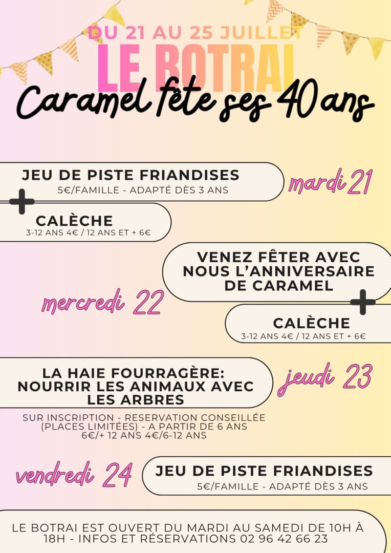 Caramel fête ses 40ans ! Venez célébrer l’anniversaire du plus vieux poney du Botrai