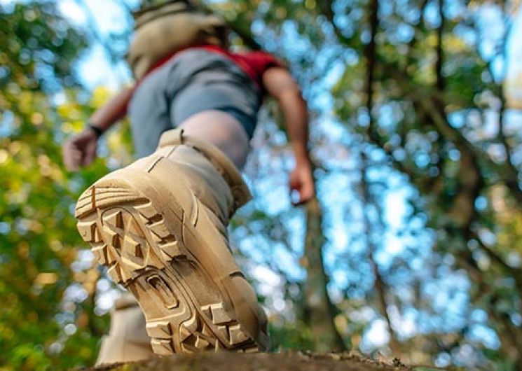 Randonnée Pédestre « Cantignergues »