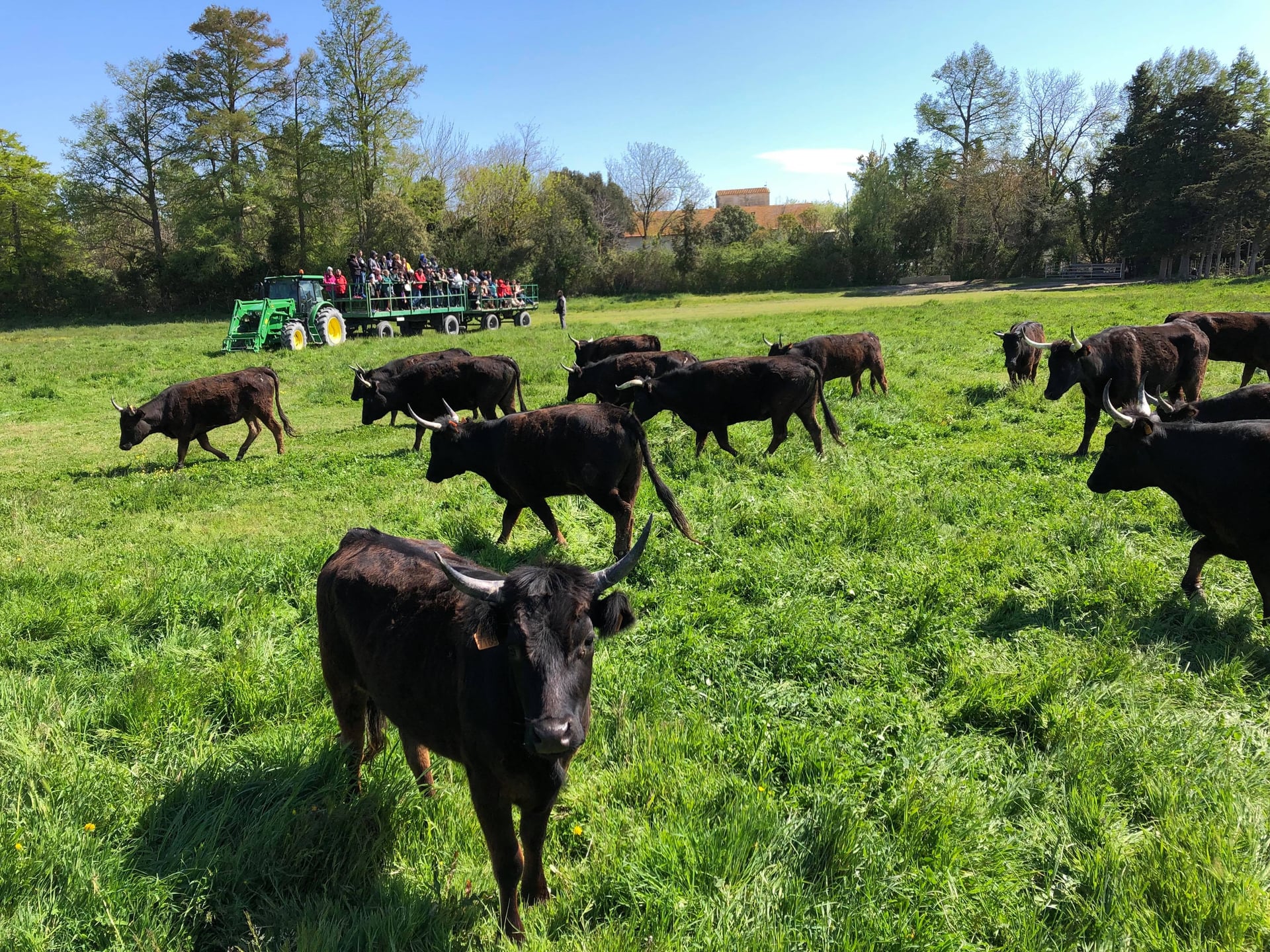 Le réveil du Gardian