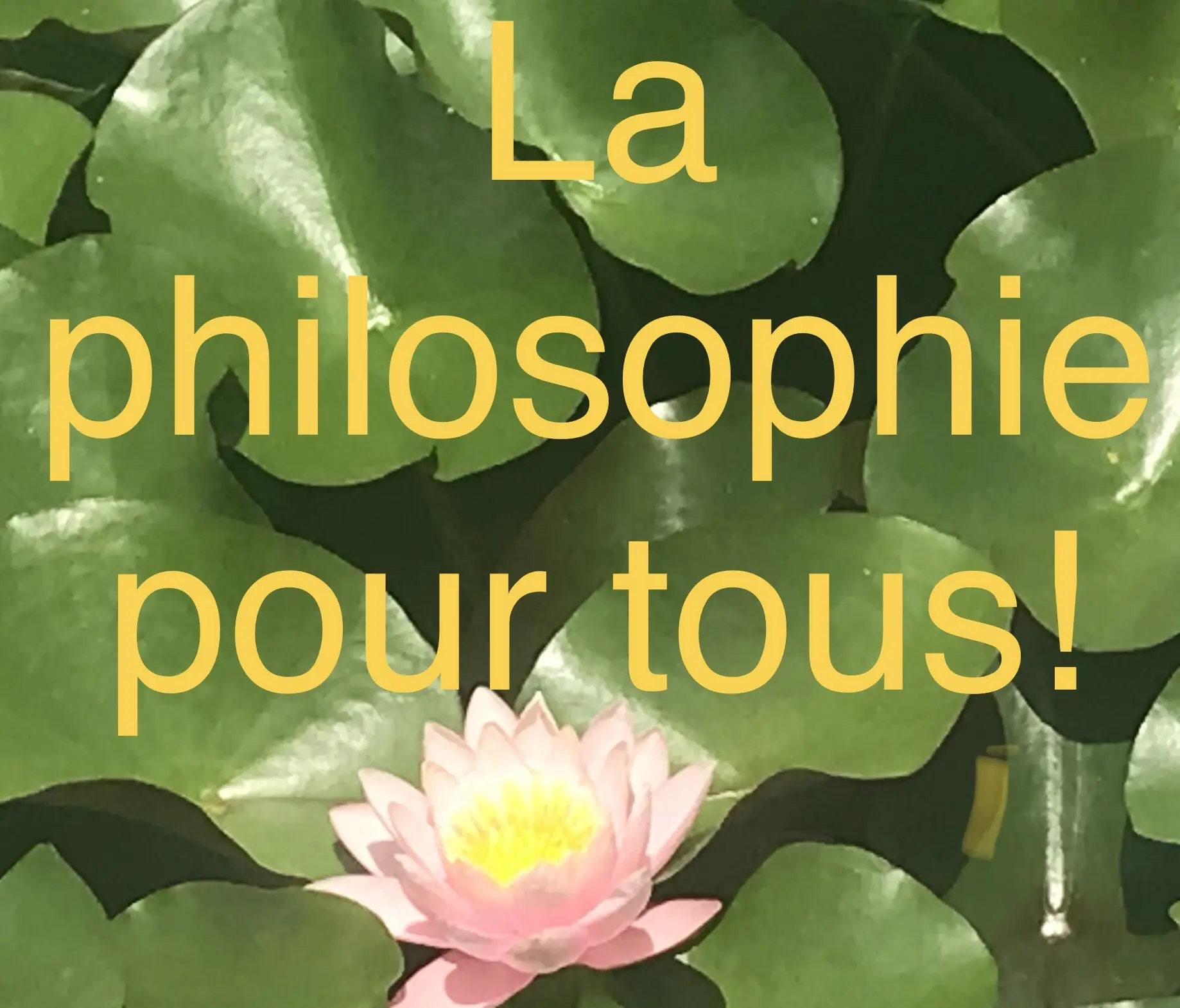 Qu’est-ce que le chamanisme?