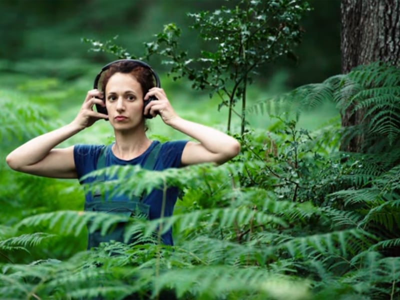 Balade - spectacle  "En la forêt de longue attente"