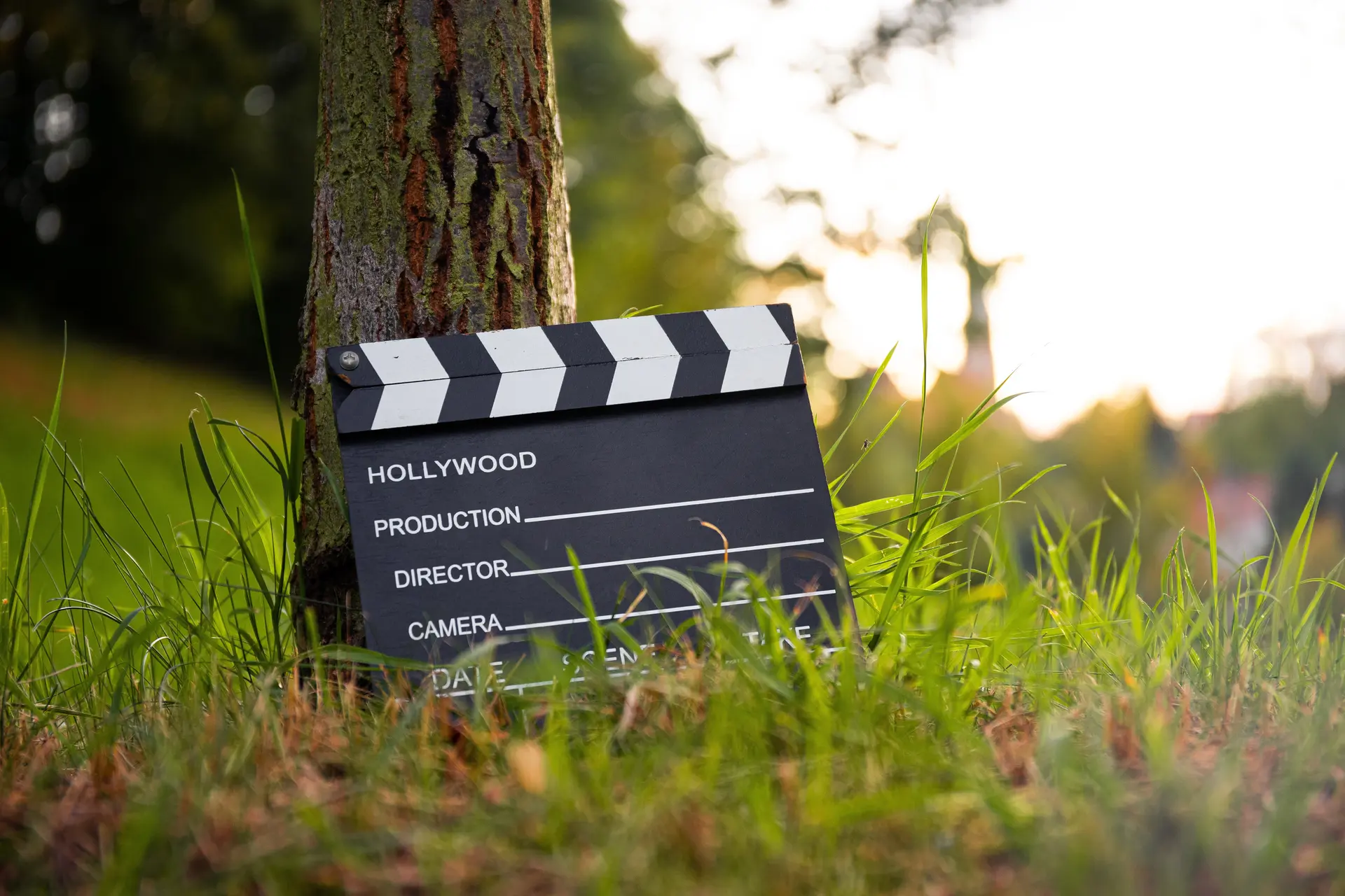 Ciné d'été... en plein air !