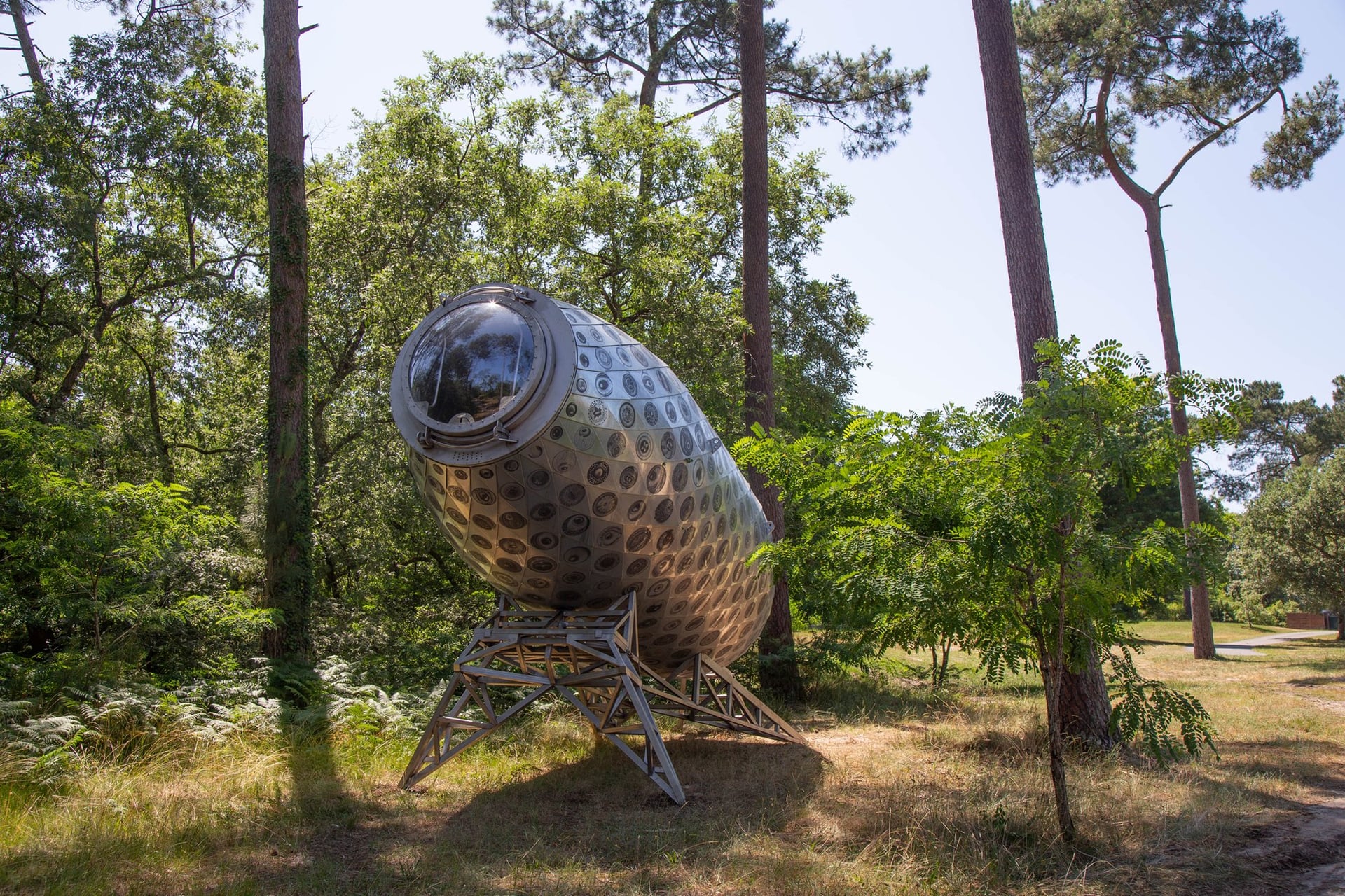 Sous les étoiles, randonnée naturaliste et artistique en forêt