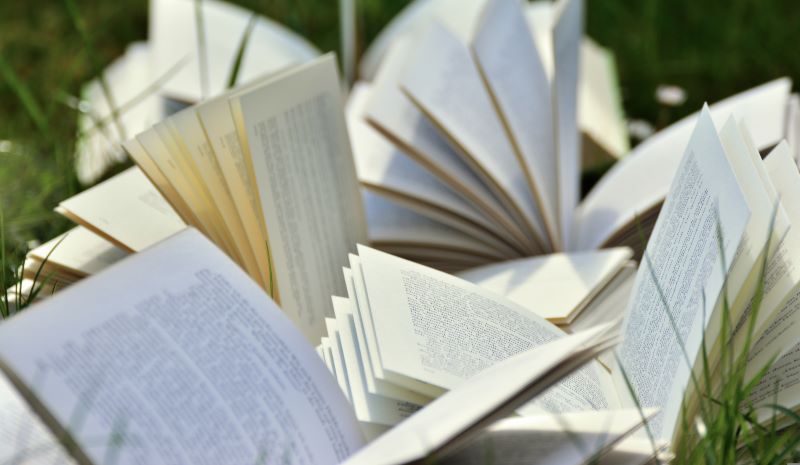 Les joyeuses rencontres des Faiseurs de livres