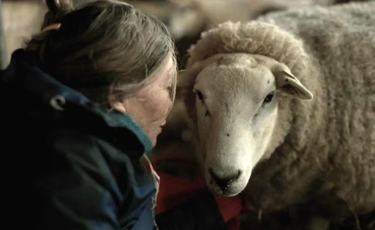 Rencontre culturelle : Projection de "Notes of Sheepland"