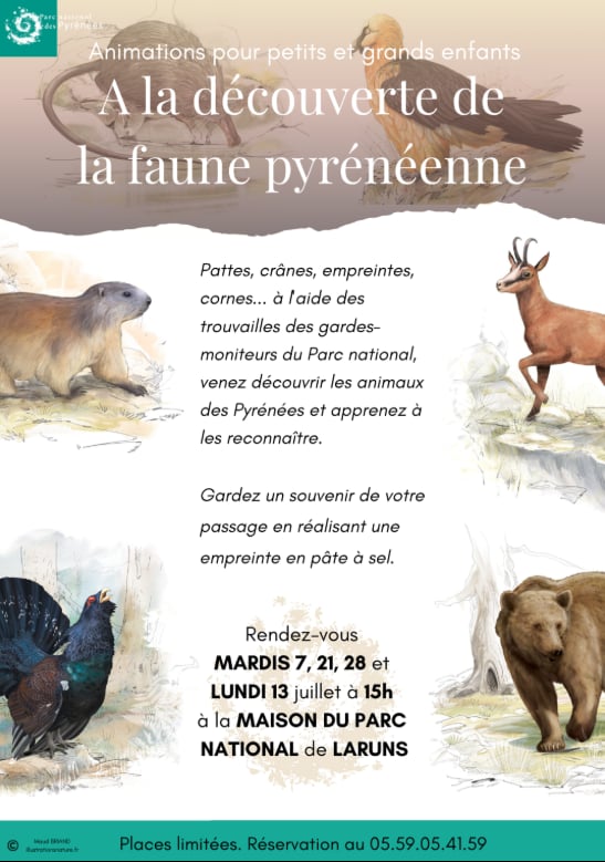 A la découverte de la faune pyrénéenne