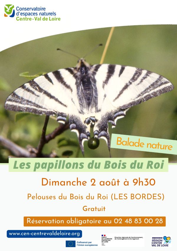 Les papillons du Bois du Roi