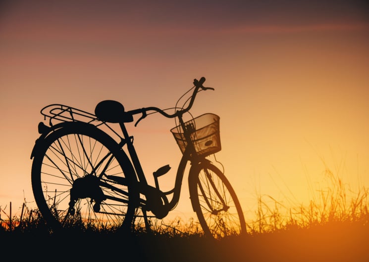 Balades guidées « l’heure dorée » – Happy Tour Camargue