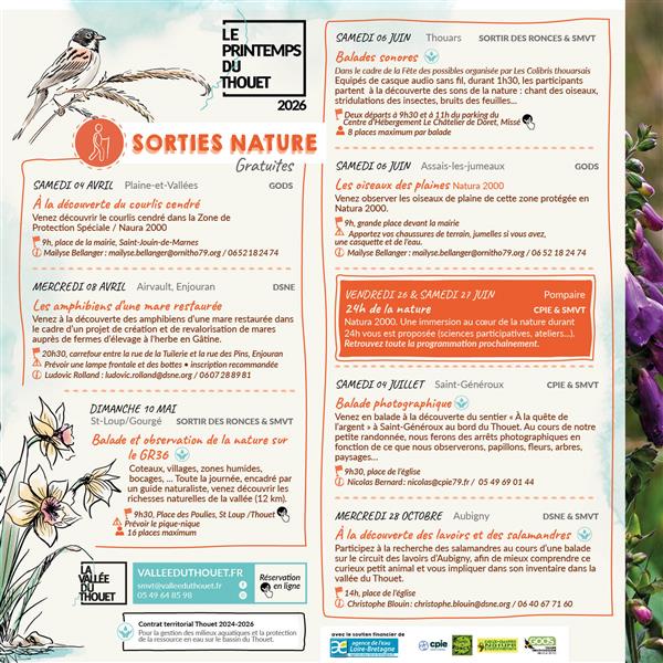 Observation des oiseaux en canoë