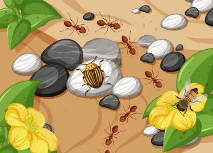 Part'âge nature : sortie - petites bêtes et autres petits monstres
