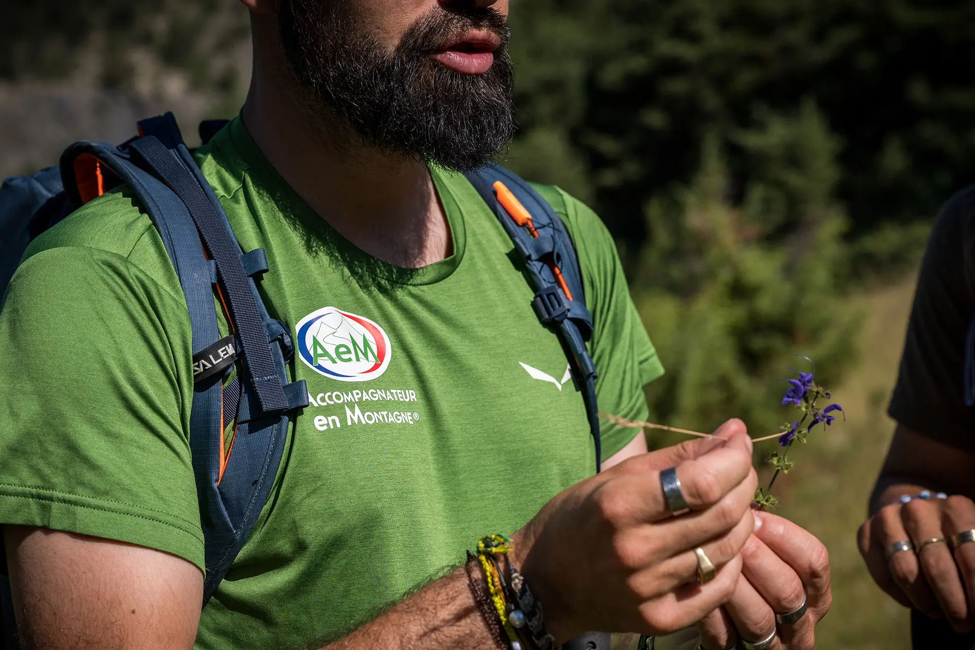 Les Dimanches du Sauze : Sortie avec accompagnateur en montagne - Balade et cueillette sauvage