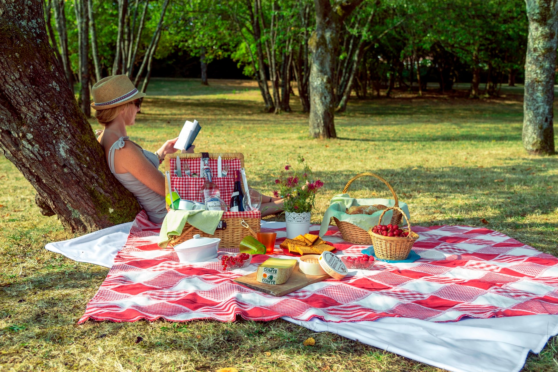 Fantastic Picnic  "Cueillir l'instant"