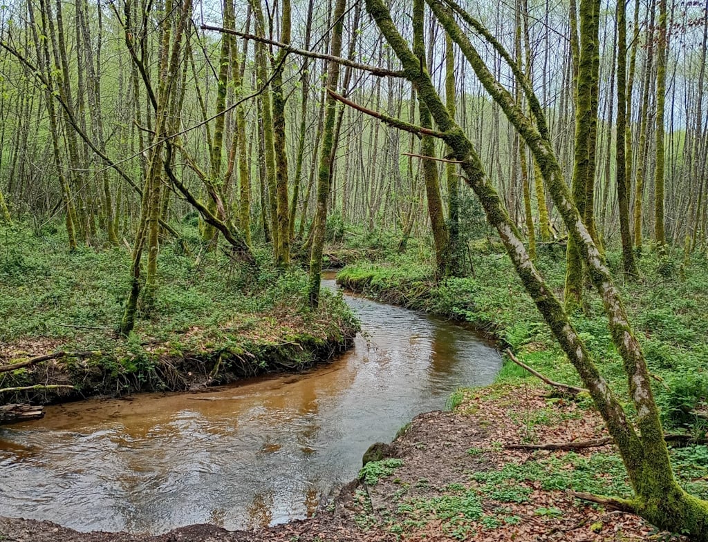Sophrobalade, un moment privilégié au cœur de la Nature !