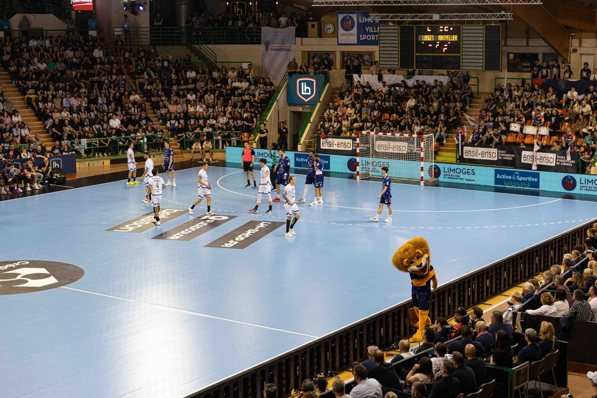 Match Limoges Handball / Sélestat