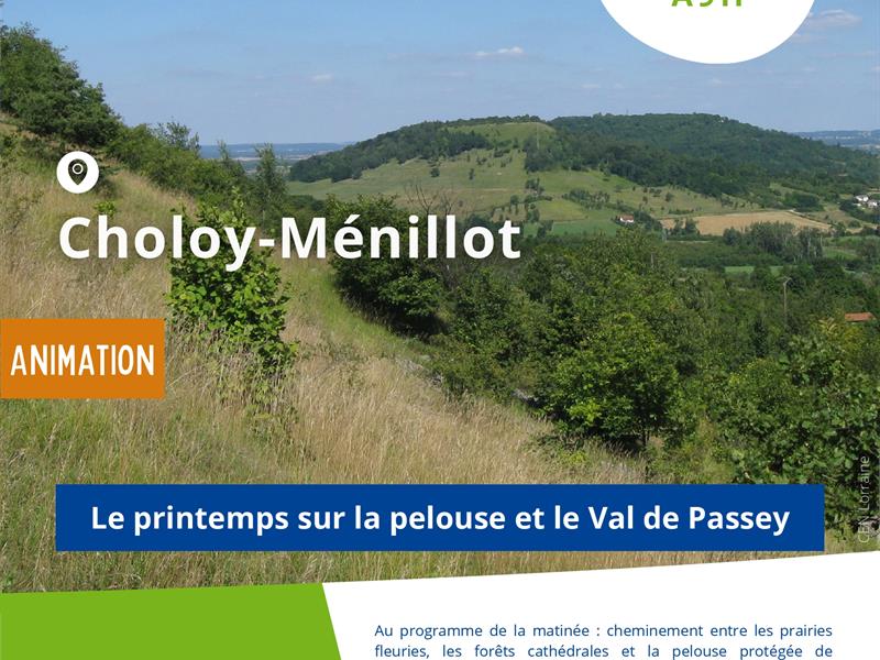 Randonnée commentée - Le printemps sur la pelouse et le Val de Passey