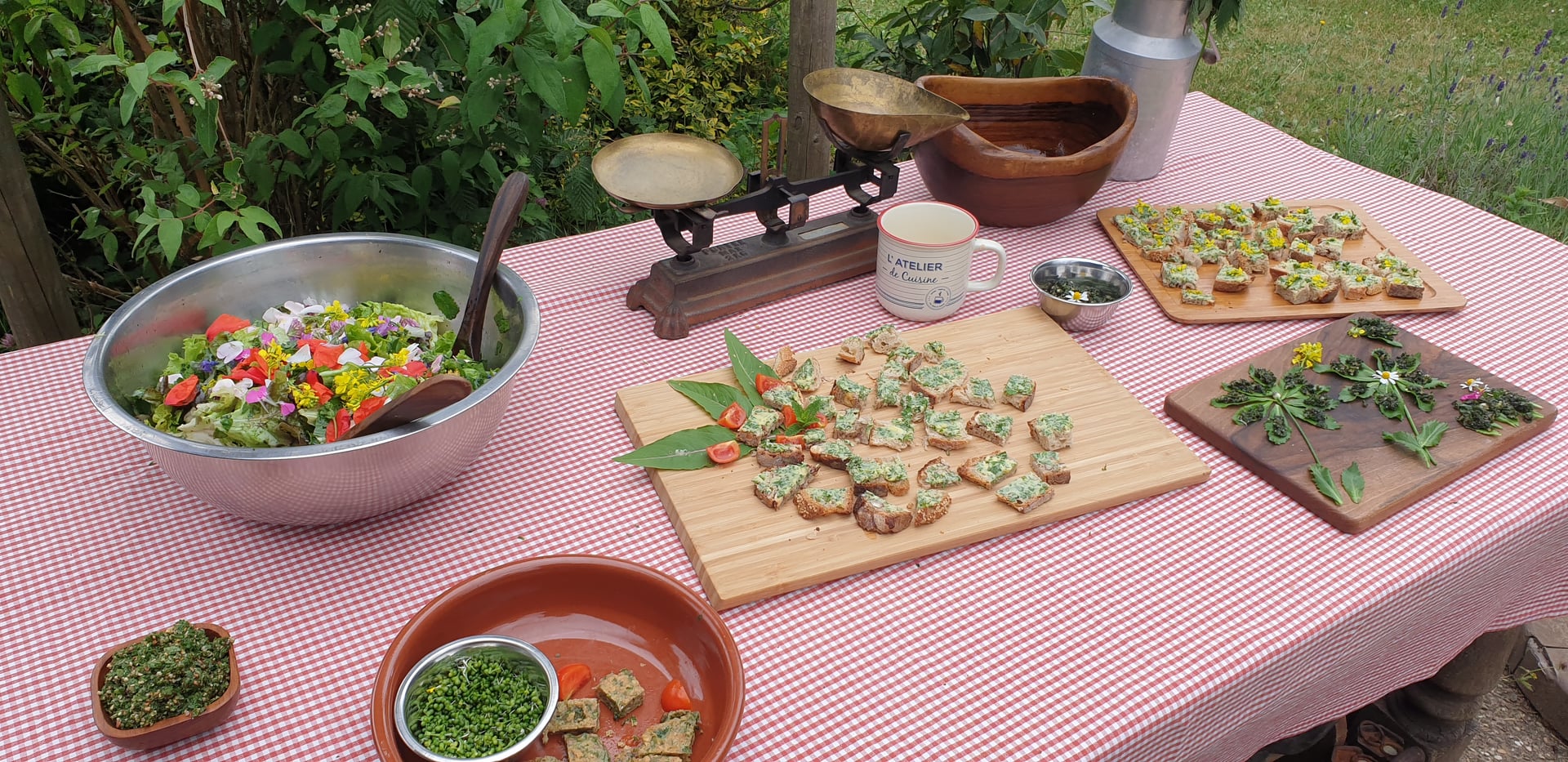 Journée découverte et utilisation des plantes sauvages comestibles et médicinales