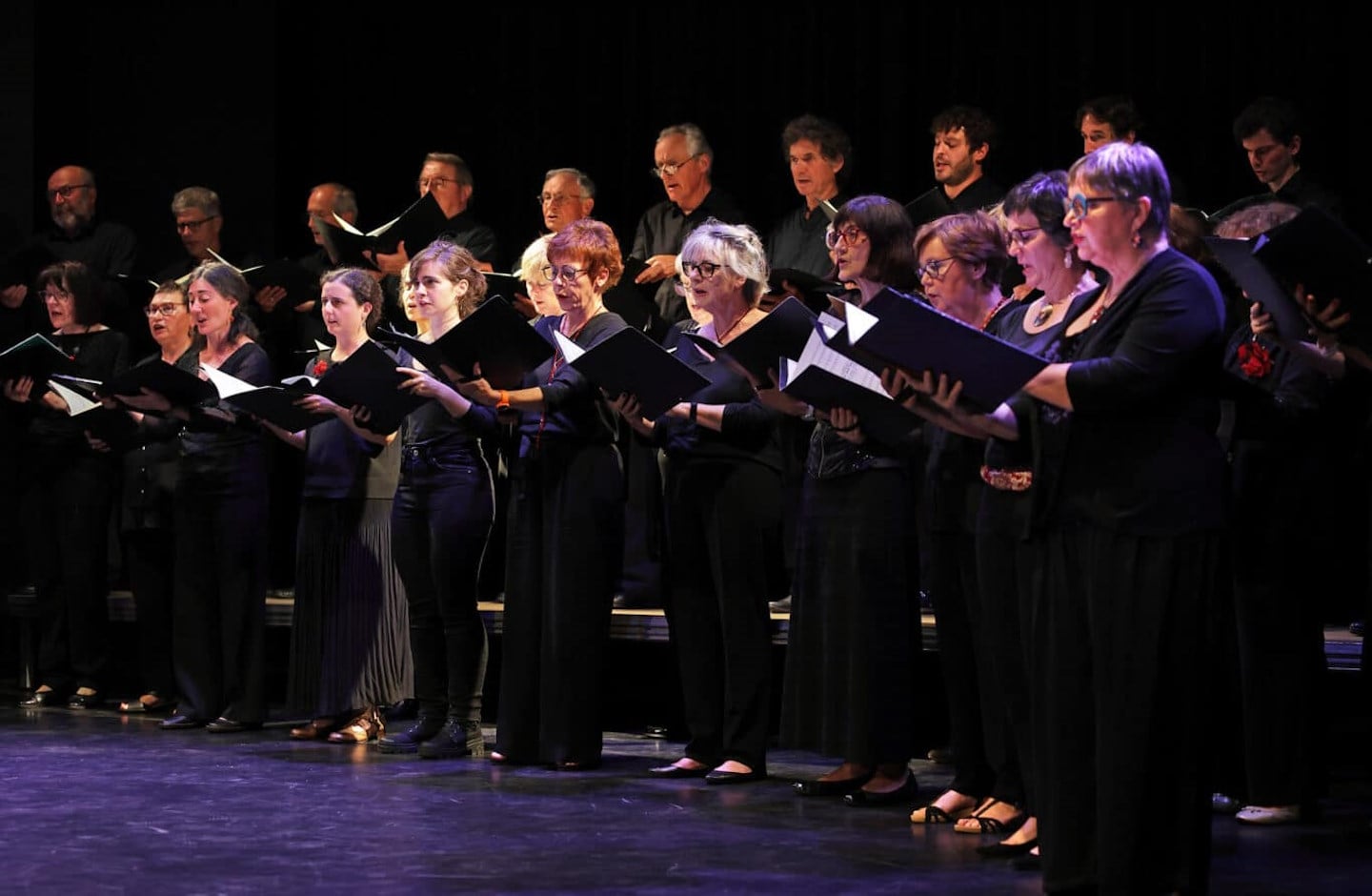 Concert Orchestre Symphonique du Pays Basque : L'Arlésienne de Georges Bizet