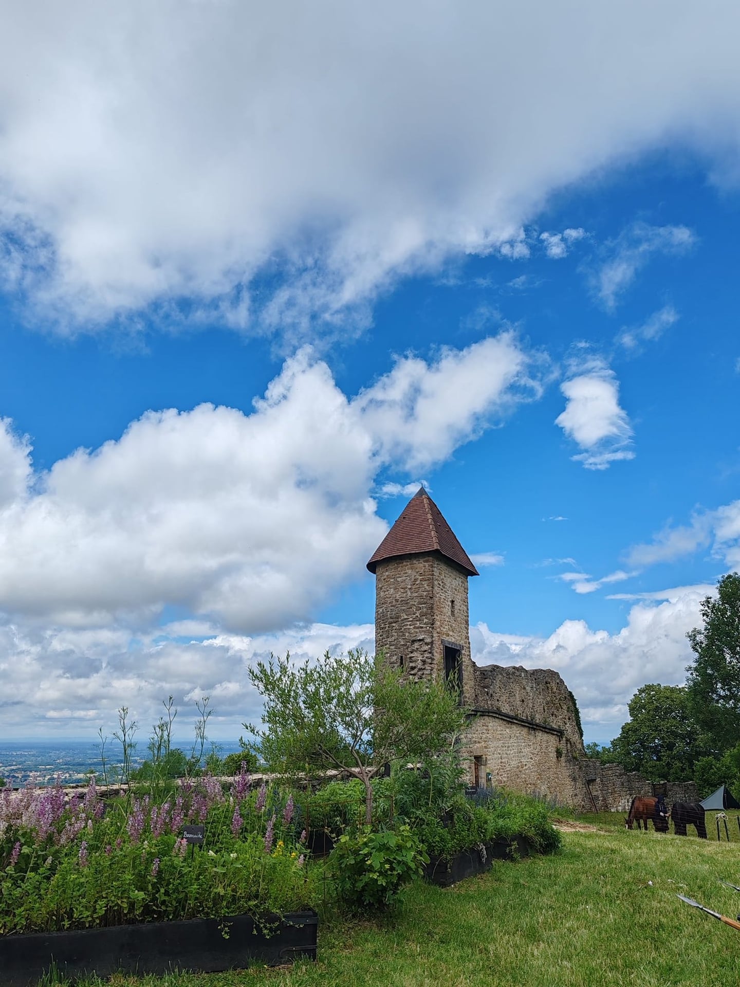 Chantier de bénévoles au Château de Chevreaux