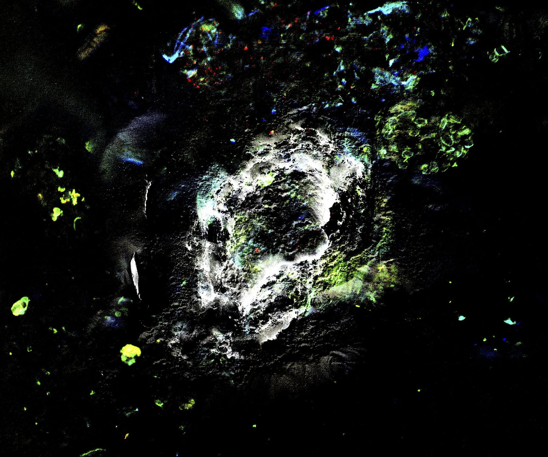 Exposition de  l'artiste Tadzio