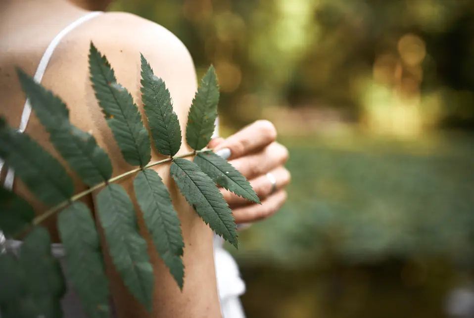 Balades nature & bien-être : "Plantes, nature, équilibre de vie"