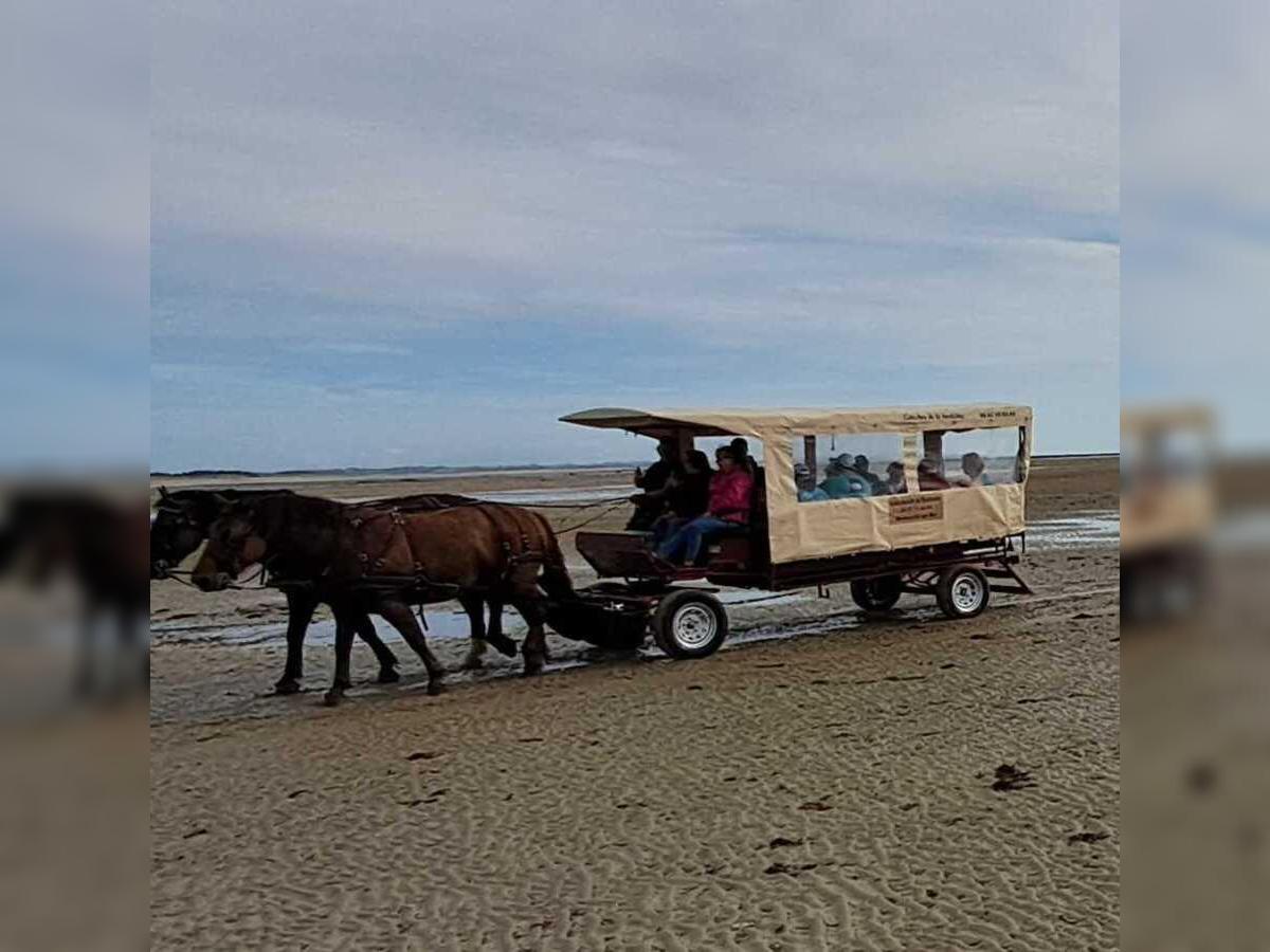 Découverte de la Pêcherie "La Maillard" en calèche