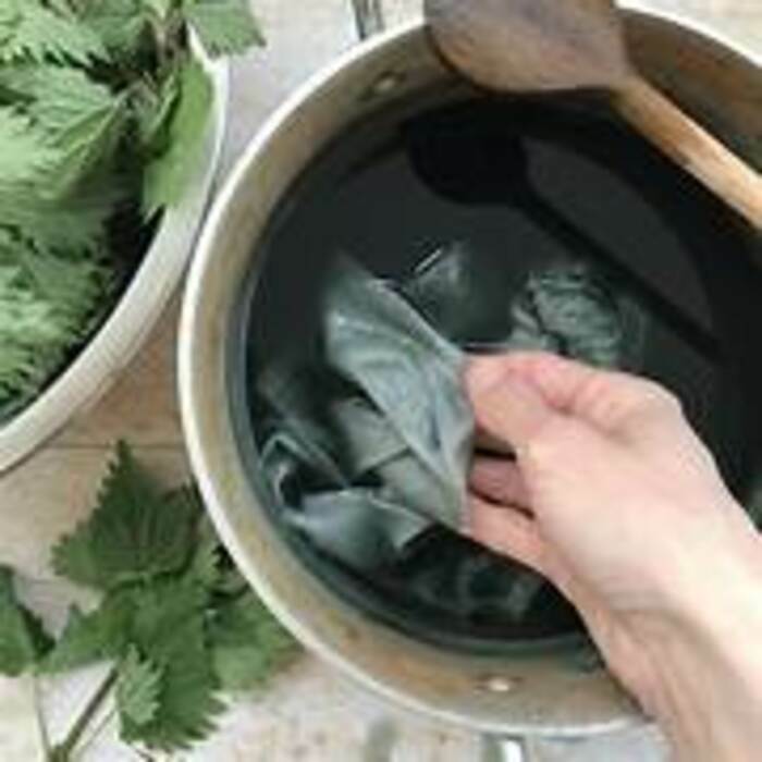 Jardinons ! Initiation à la teinture végétale