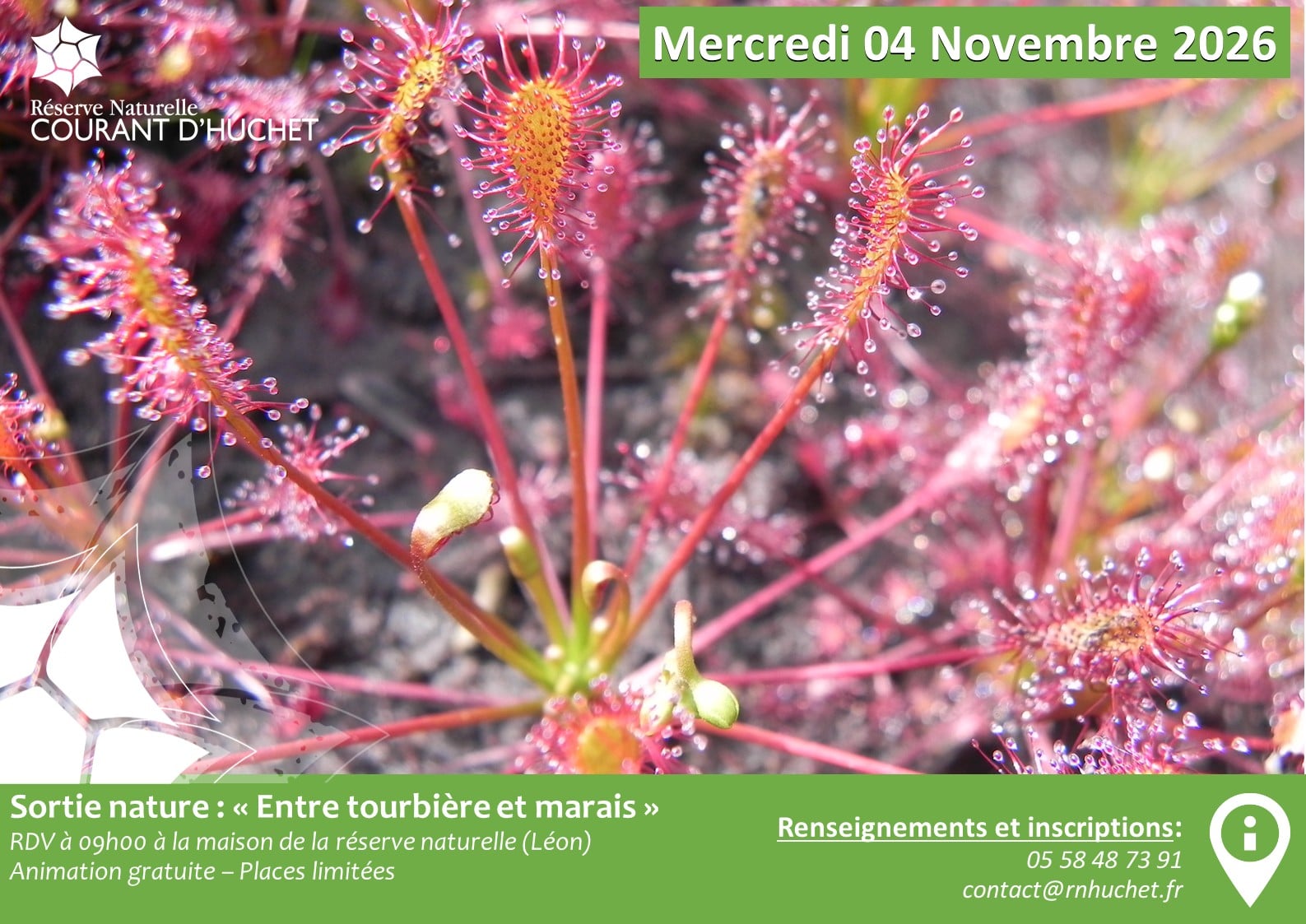 Sortie entre tourbière et marais