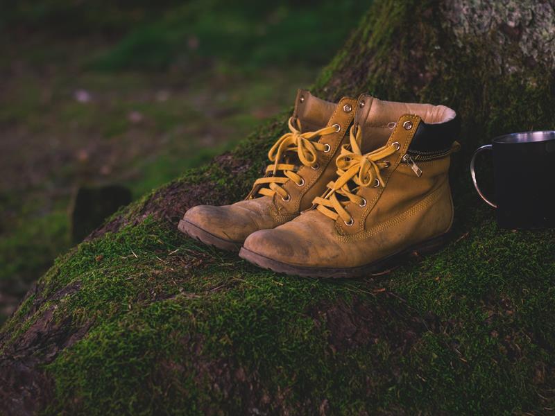 Expérando randonnée : Alteckendorf