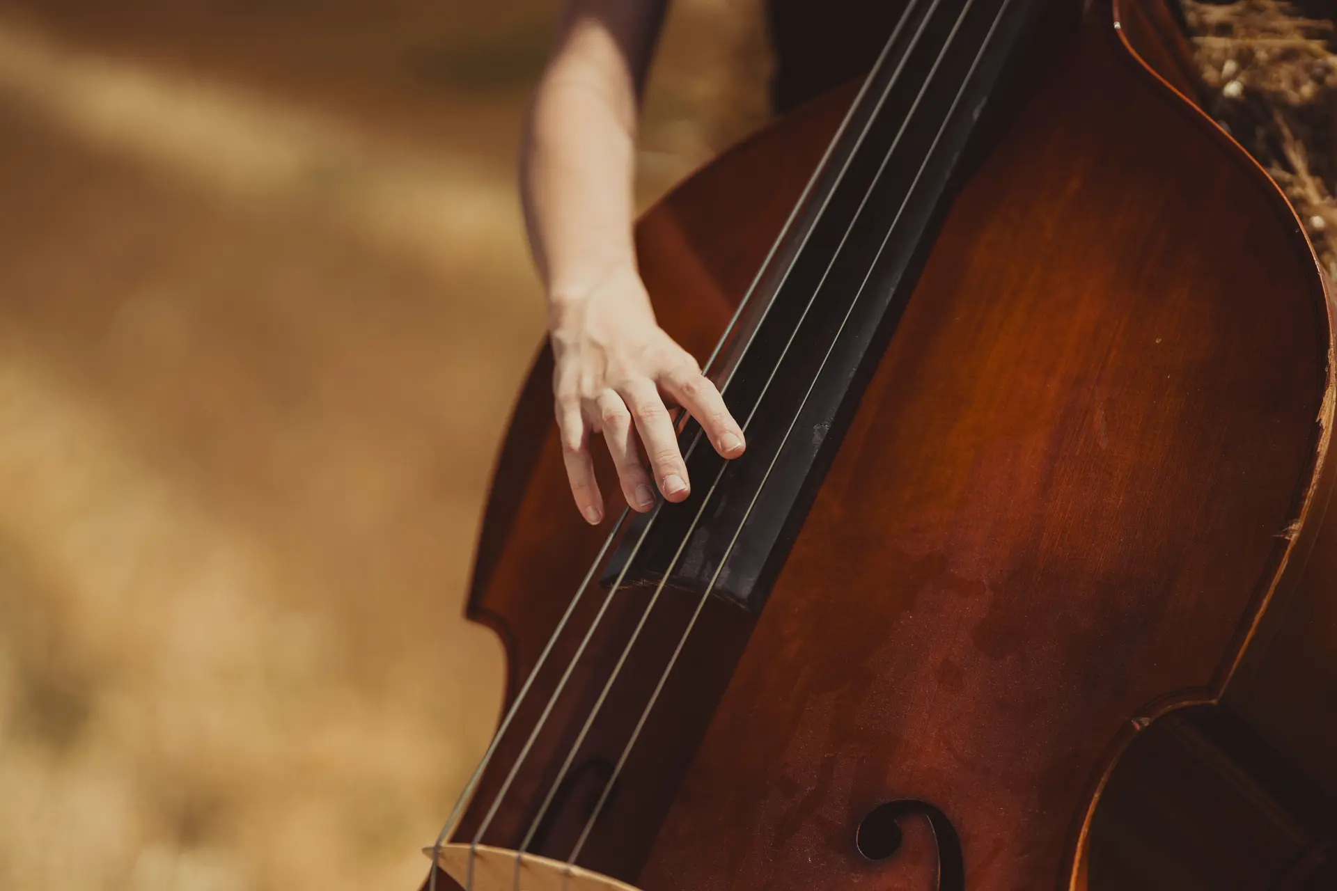 Le plan d'eau en musique : Concert-Théâtre "La Contrebasse"