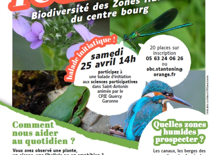 Balade initiatique – Biodiversité des zones humides du centre bourg