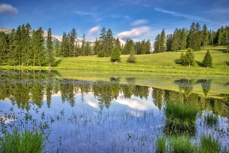Fête Pastorale dans l'alpage