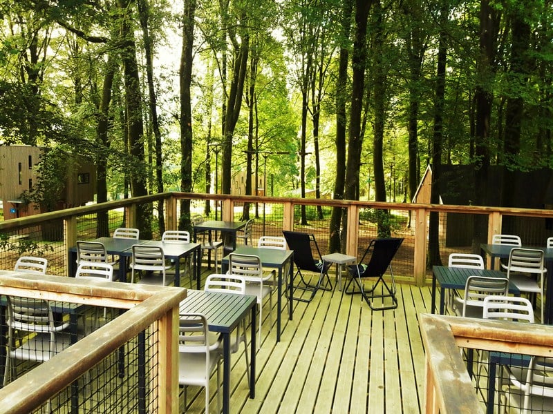 Concert de l'été "Thomas Capé" à l'étape en forêt