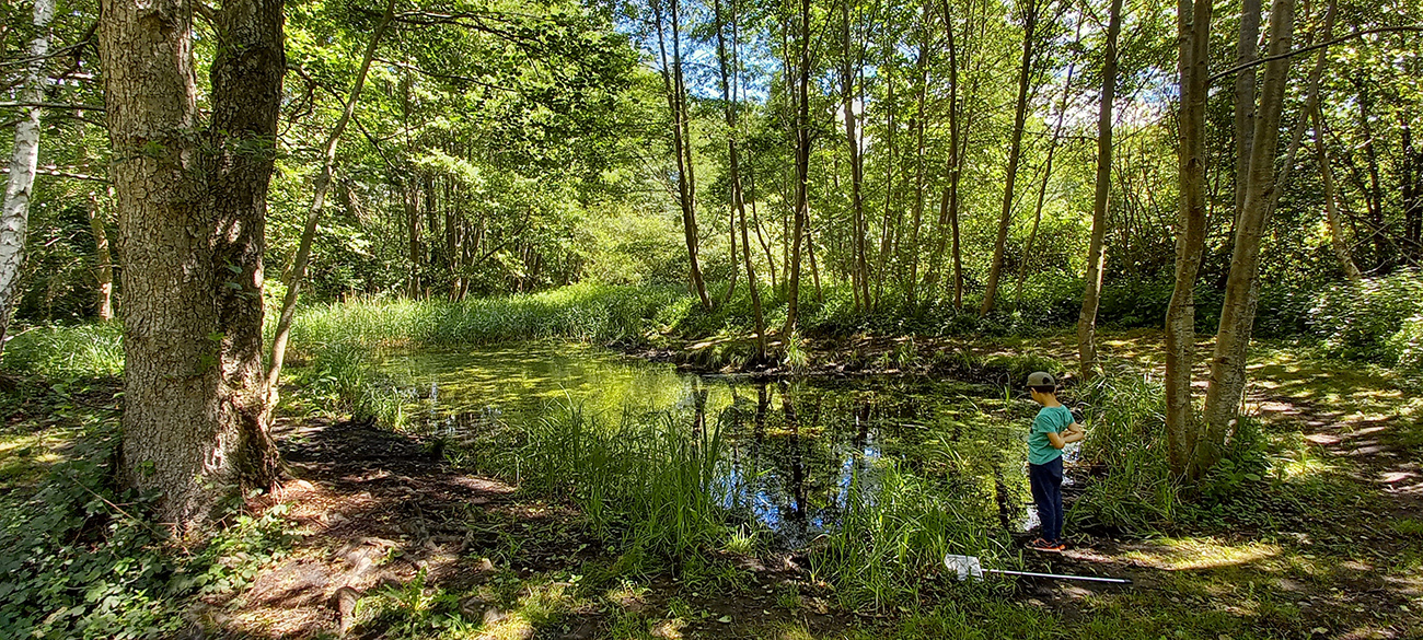 Sortie nature à Vauclair : "Les dents de la mare"