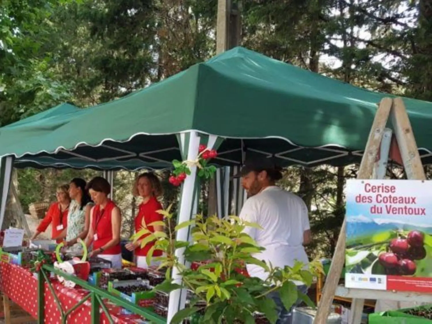 Fête du terroir et de la cerise
