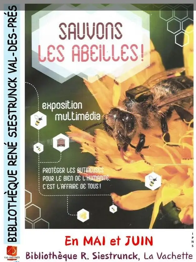 Rencontre avec un apiculteur
