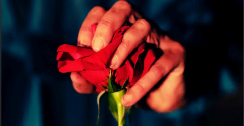 Une lumière dans la nuit