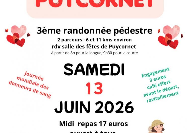 Randonnée pédestre
