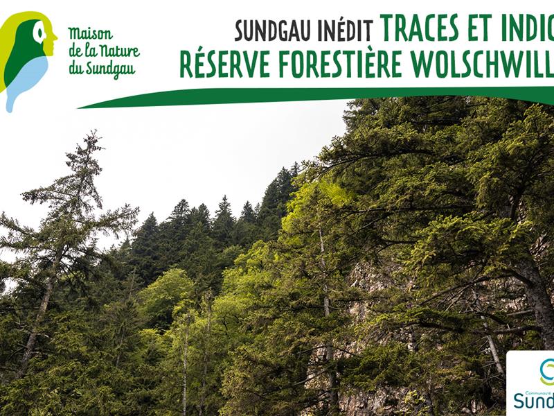Traces et indices - Réserve forestière Wolschwiller