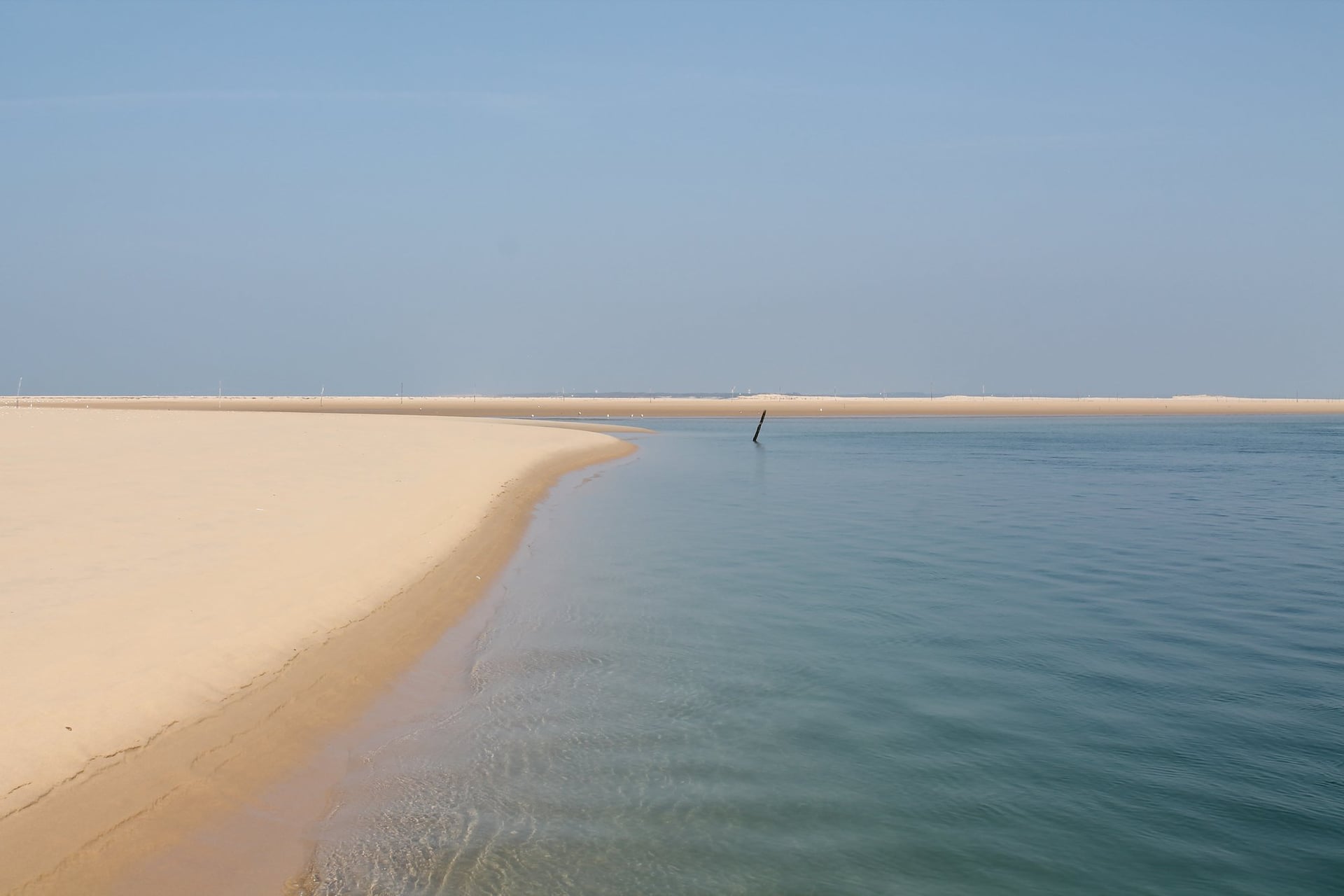Si le banc d'Arguin nous était conté